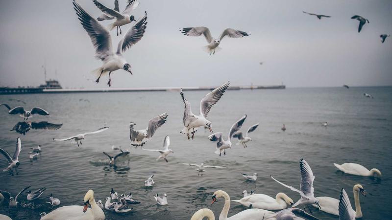 Pembukaan Perpustakaan Komunitas di Desa Sukamaju