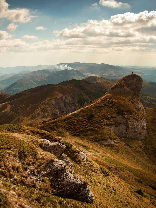 Aksi Tanam 500 Pohon
